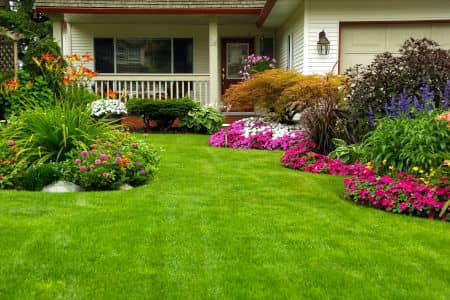 3 Lawn Care Tips Every Homeowner Should Know