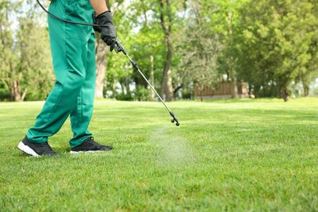 Top 5 Benefits of Professional Weed Control